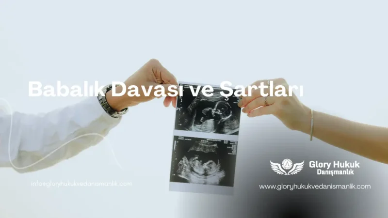 babalık davası